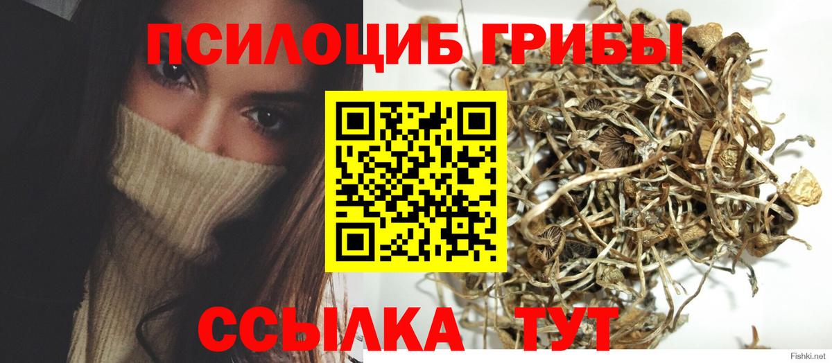 Псилоцибиновые грибы MAGIC MUSHROOMS Будённовск